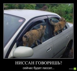 шгнеав.jpeg