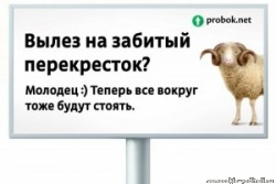 14442_i_w300.jpg