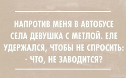 метл.jpeg