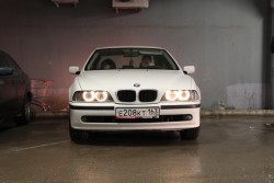 IMG_3500.JPG