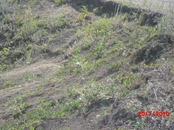 CIMG0516.JPG