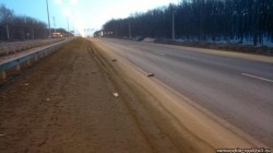 2014-03-25-286.jpg