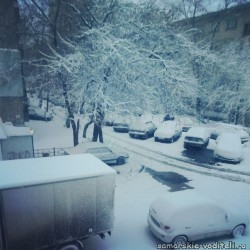 снег3.jpg
