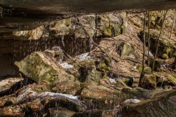DSC_2424.jpg