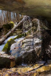 DSC_2498.jpg