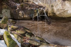 DSC_2512.jpg