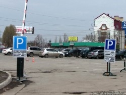 элвес1.jpg