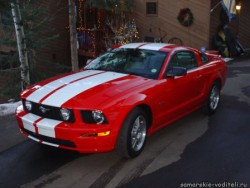 mustang side view.JPG