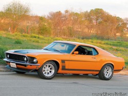 mump_0708_02_z+timber_wolf_1969_ford_mustang_302+side.jpg
