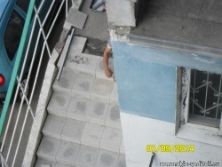 SAM_0633.JPG