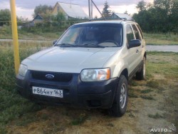 982050091.jpg