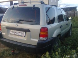 982072614 (1).jpg