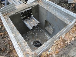 лунача1.jpg