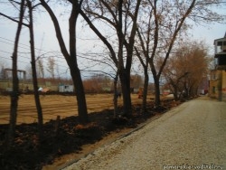 лунача5.jpg