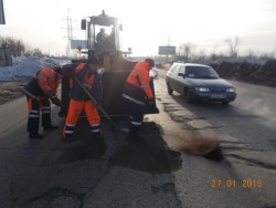 ракита.jpg