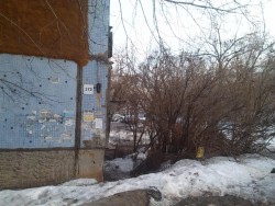 IMG_20150320_182427.jpg