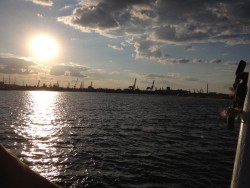 IMG_0424.jpg