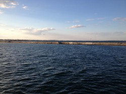 IMG_0425.jpg