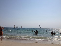 IMG_0467.jpg