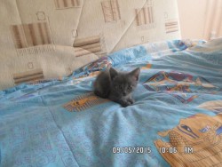 06. он.JPG