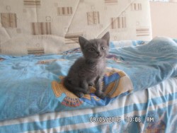 07. он.JPG