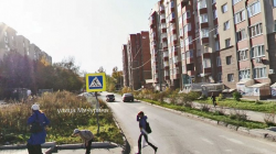мичурина.png