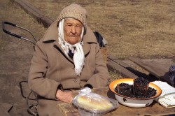 бабкины1.jpg