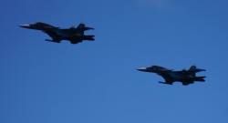 DSC00204.jpg