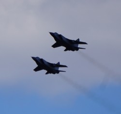 DSC00214.jpg