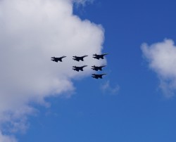 DSC00235.jpg