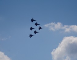 DSC00263.jpg