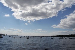 IMG_2310.JPG