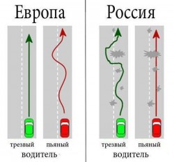 1362984979_014.jpg