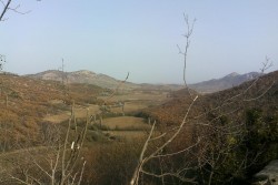 DSCF0305.JPG