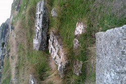 DSCF0317.JPG