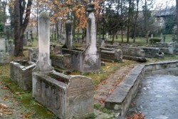 DSCF0390.JPG