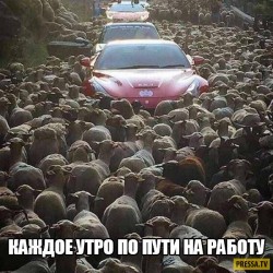 1481401416_ulcqw6l8gc4.jpg