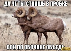 1488743887_7exkqvycifu.jpg