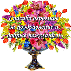 64039023.png