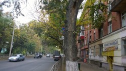 WP_20180929_12_27_54_Pro.jpg