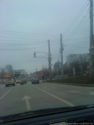 DSC01010.JPG