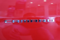 IMG_1076.JPG