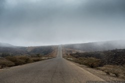 01 (1).jpg